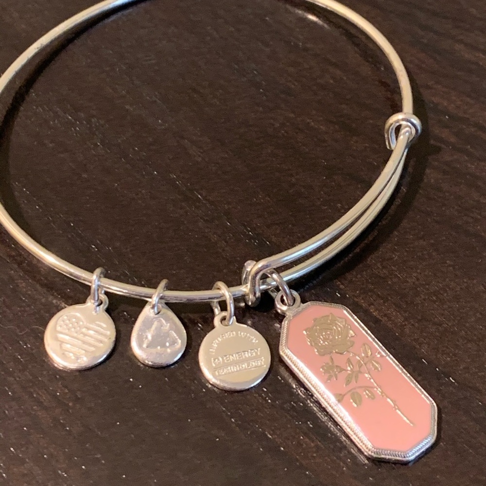 Alex and Ani “Rose” charm bracelet.